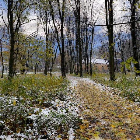 Zima 2023. Pierwszy śnieg w Rzeszowie [Park im. Szafera] - fot 4